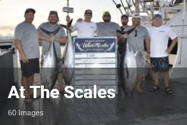 atthescales