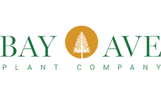 Logo-Bay Ave Plant Co.